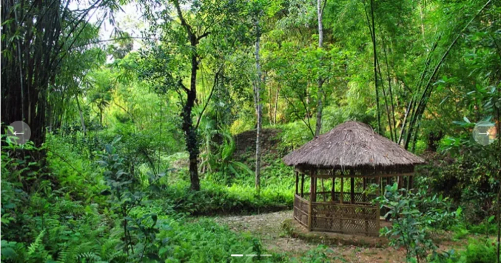 Khadimnagar National Park