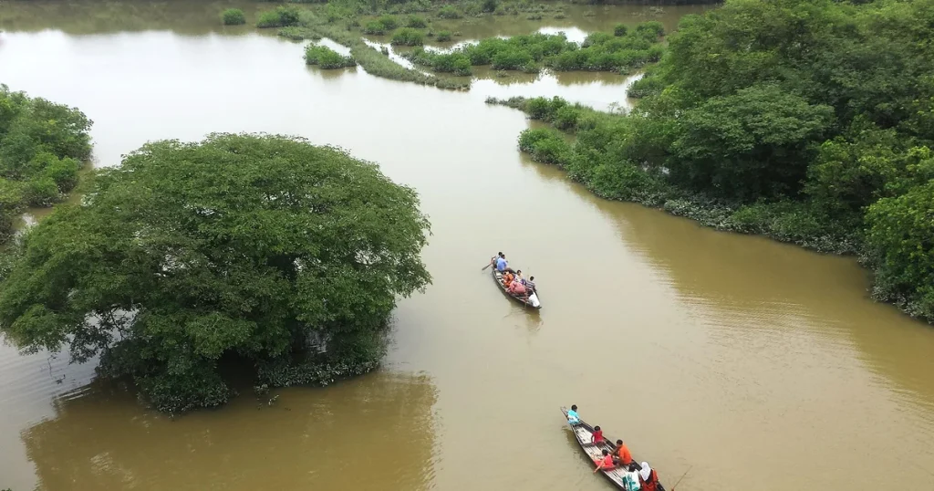 Birds Eye view Ratargul