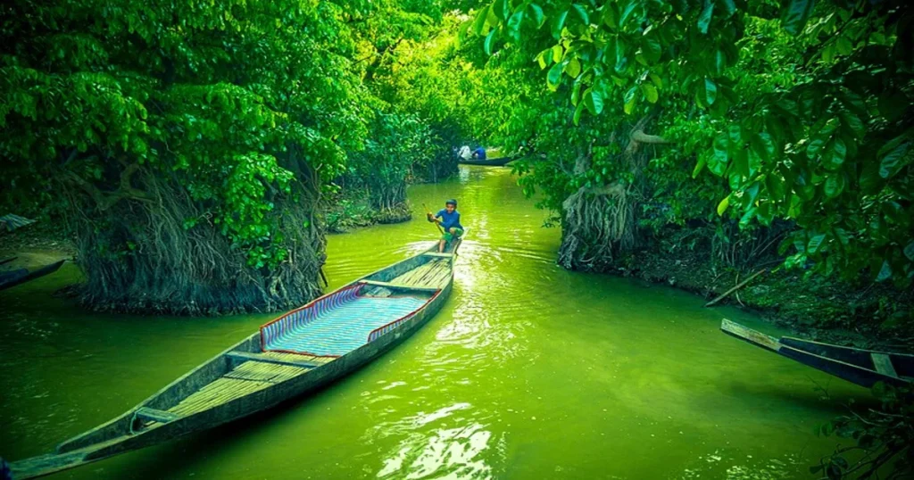 Ratargul Swamp Forest with boat