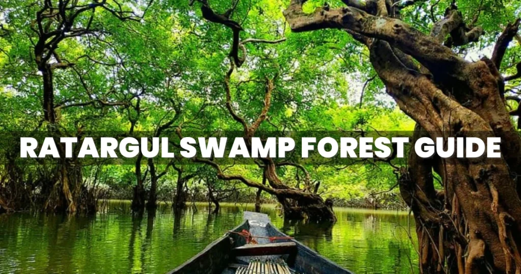 Ratargul Swamp Forest