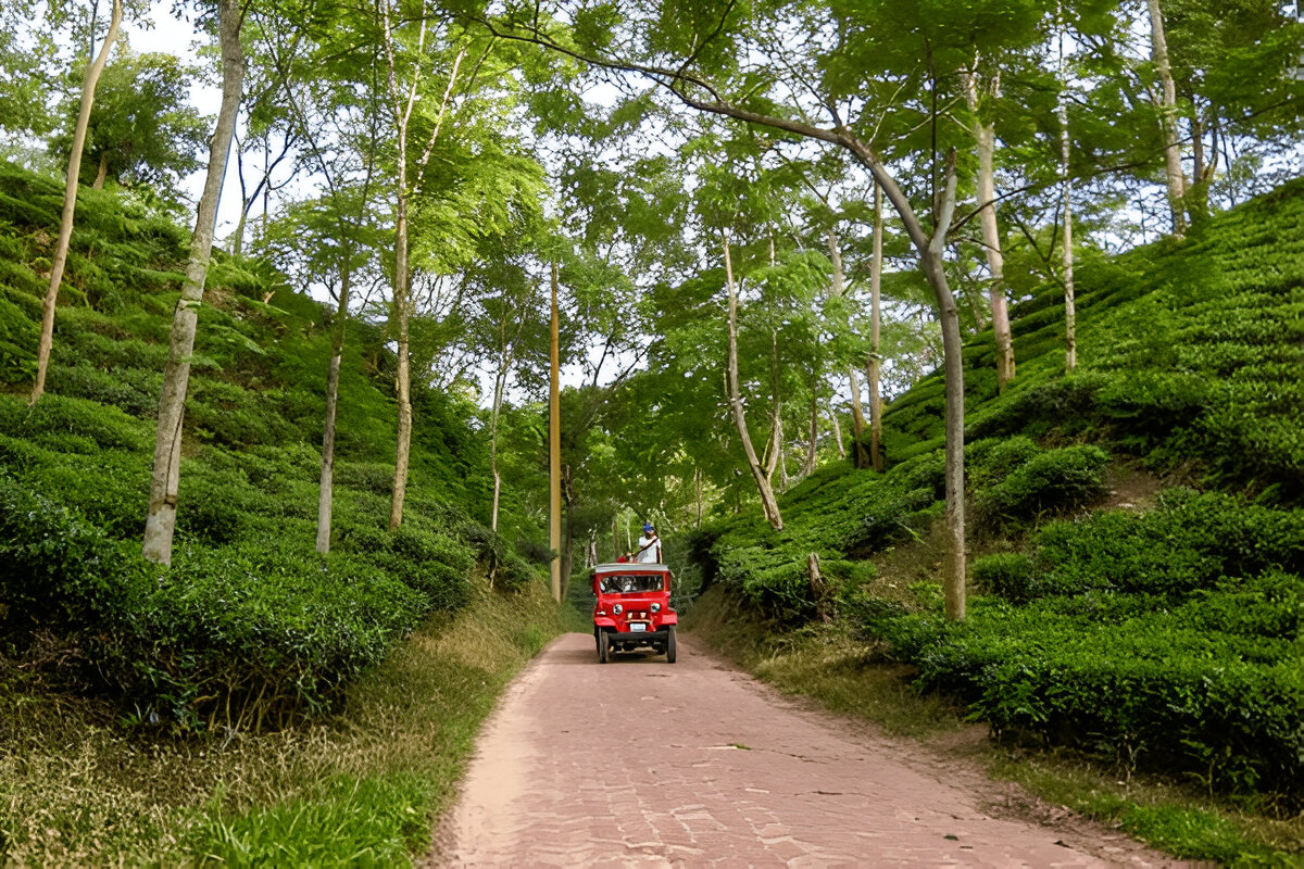 stay in sylhet